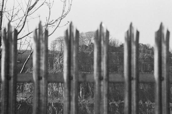 Click to view 2025 Entry