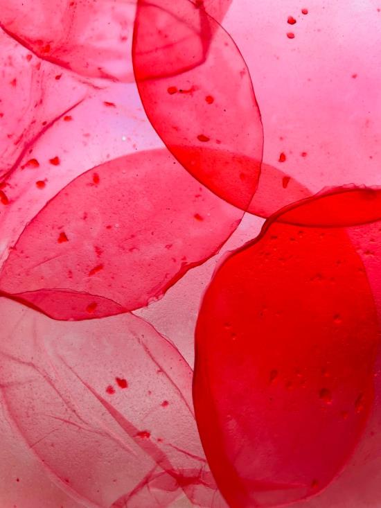 Click to view 2025 Entry