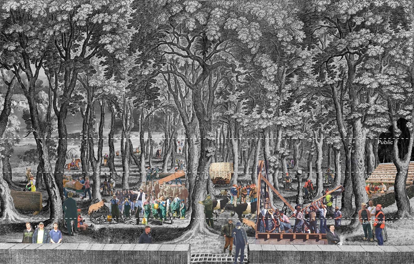 Wood for Thought: Constructing Silvicultural Exchange