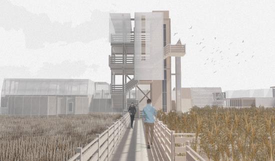 A Wetland Proposal for Urban Rituals: The produce yard