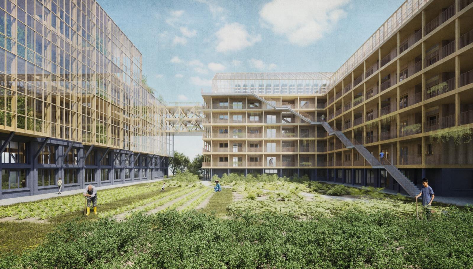 Architectural Food Layer – Urbanised Protein Production