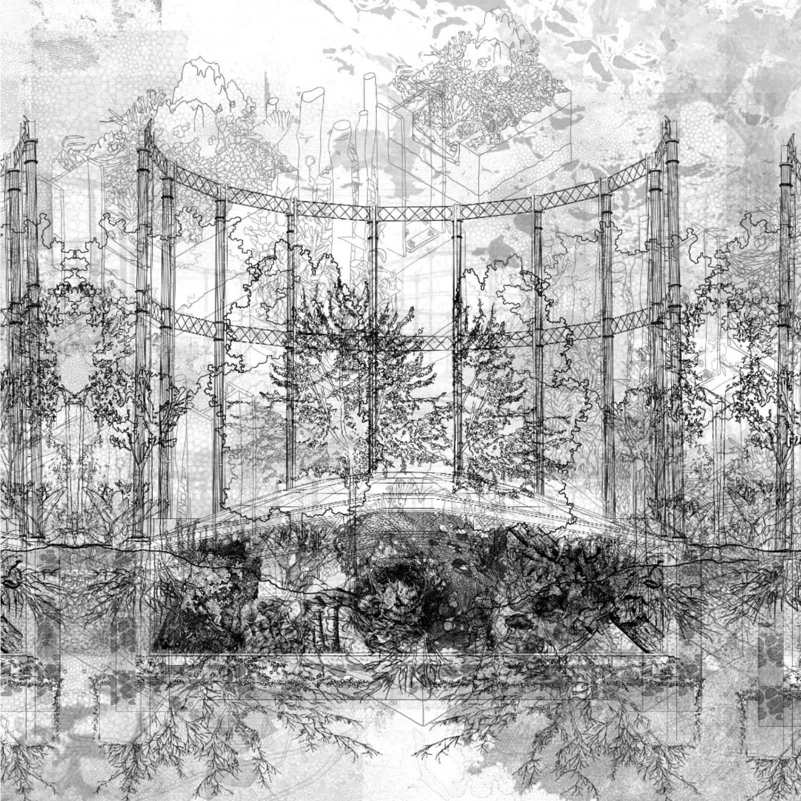 Rewilding the Forgotten Commons