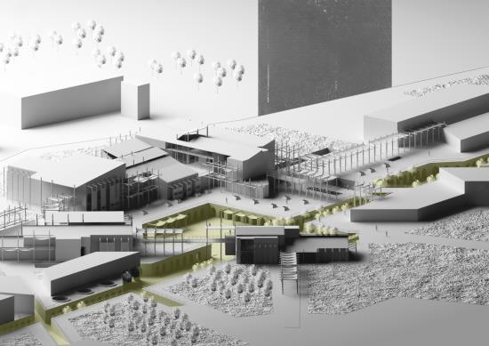 Luminous Axis: An experience of knowledge