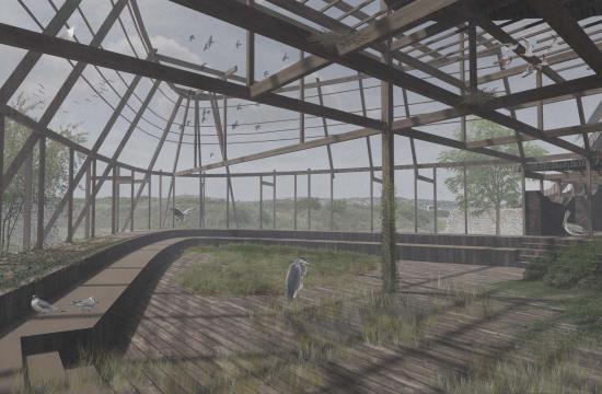 Rebirding Tide Mills