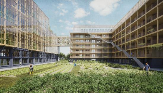 Architectural Food Layer – Urbanised Protein Production