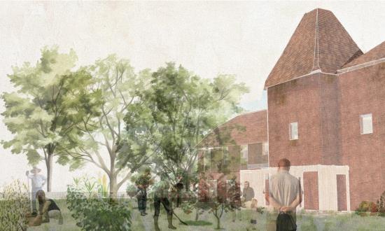 Fruits of our Labour