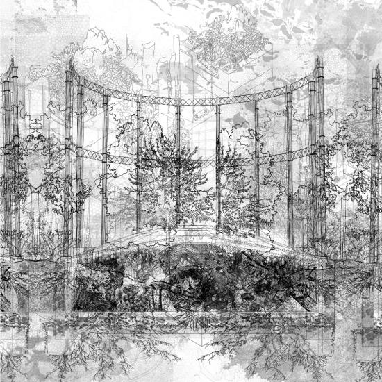 Rewilding the Forgotten Commons