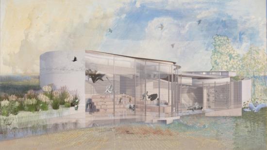 The Architectonic Language of Water