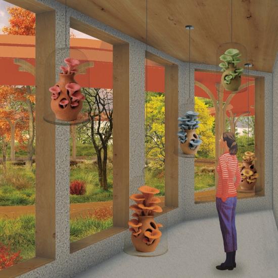 Myco: A culinary and scientific retreat