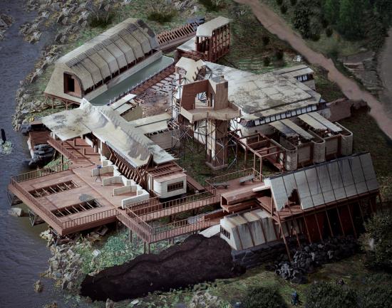 Contemplating the “Dam”olition: A study in multi-species inhabitation